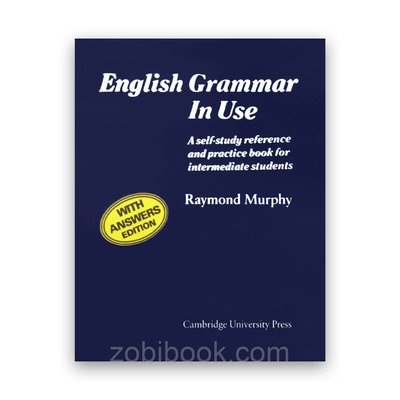 Raymond Murphy - English Grammar In Use (Мерфи Реймонд) 102584 фото